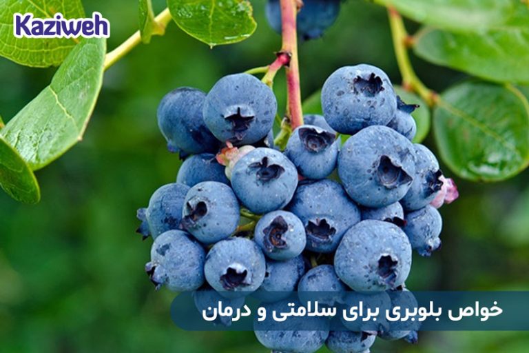 خواص بلوبری برای سلامتی