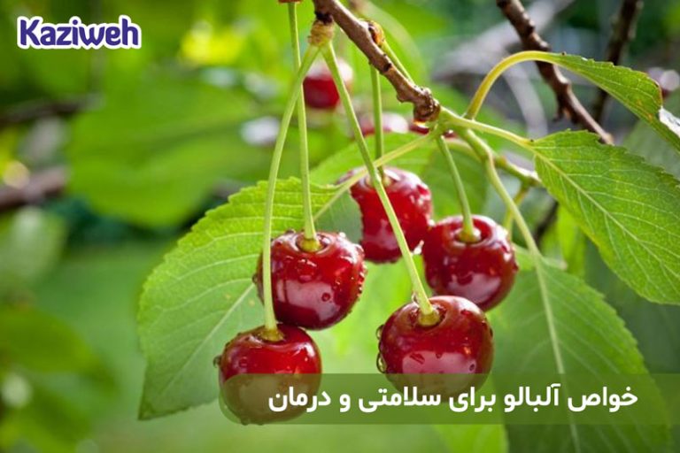 خواص آلبالو برای سلامتی و درمان