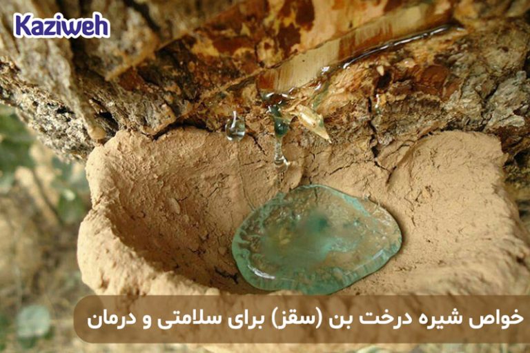 خواص شیره درخت بن (سقز) برای سلامتی و درمان