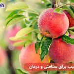 خواص سیب برای سلامتی و درمان