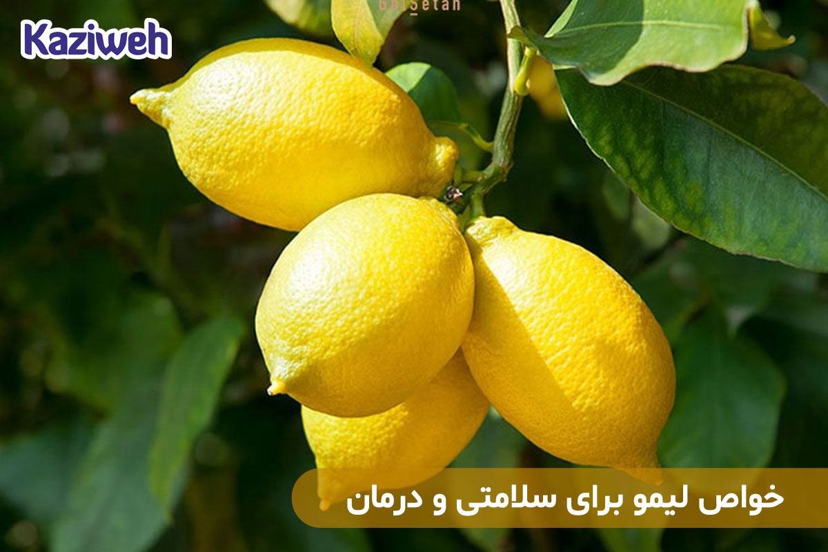 خواص لیمو برای سلامتی و درمان
